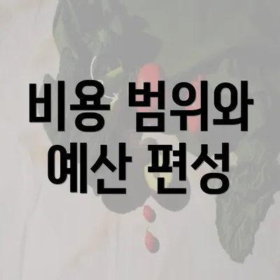 비용 범위와 예산 편성