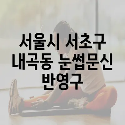 서울시 서초구 내곡동 눈썹문신 반영구