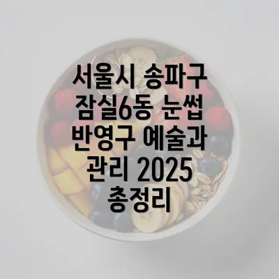 서울시 송파구 잠실6동 눈썹 반영구 예술과 관리 2025 총정리