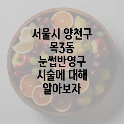 서울시 양천구 목3동 눈썹반영구 시술에 대해 알아보자