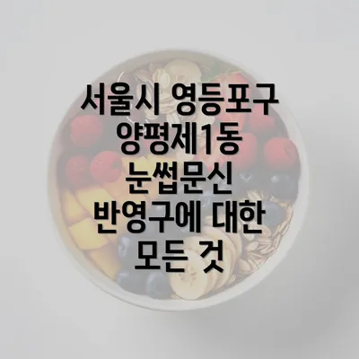 서울시 영등포구 양평제1동 눈썹문신 반영구에 대한 모든 것