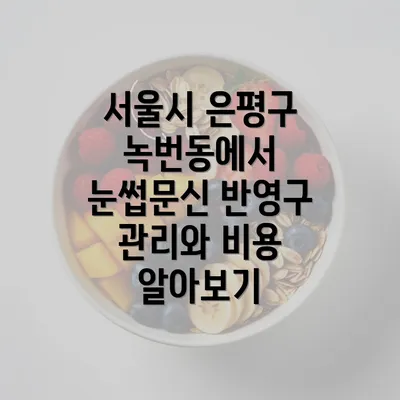 서울시 은평구 녹번동에서 눈썹문신 반영구 관리와 비용 알아보기