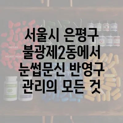 서울시 은평구 불광제2동에서 눈썹문신 반영구 관리의 모든 것