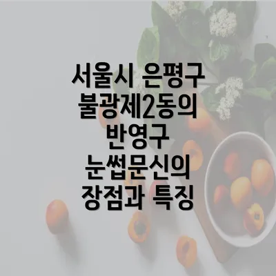 서울시 은평구 불광제2동의 반영구 눈썹문신의 장점과 특징