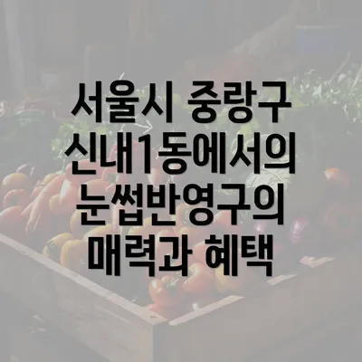 서울시 중랑구 신내1동에서의 눈썹반영구의 매력과 혜택