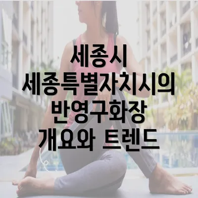 세종시 세종특별자치시의 반영구화장 개요와 트렌드