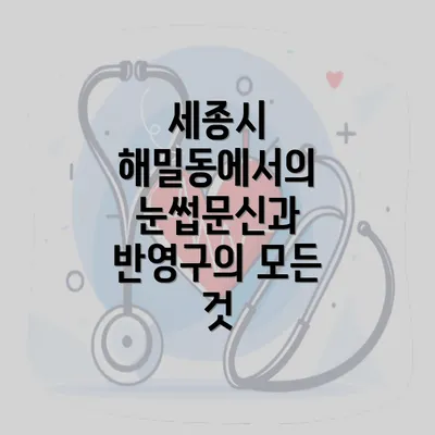 세종시 해밀동에서의 눈썹문신과 반영구의 모든 것