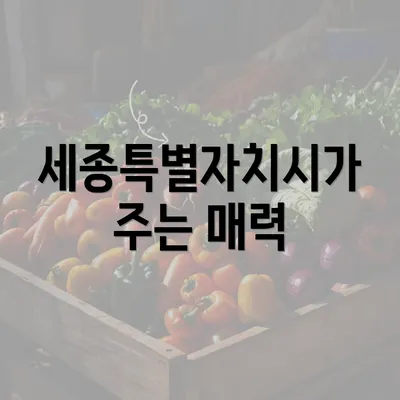 세종특별자치시가 주는 매력