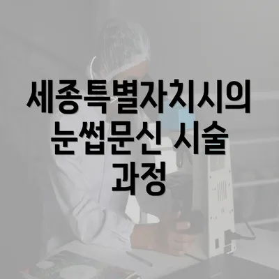 세종특별자치시의 눈썹문신 시술 과정