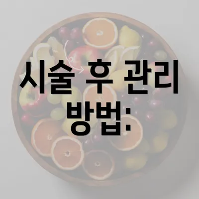 시술 후 관리 방법: