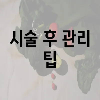 시술 후 관리 팁