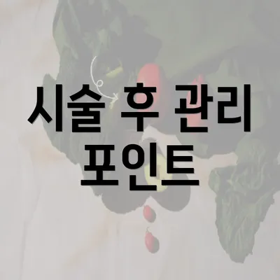 시술 후 관리 포인트