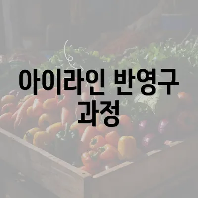 아이라인 반영구 과정