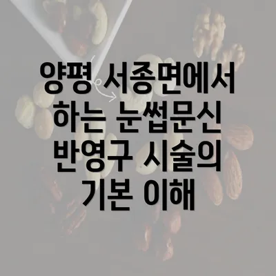 양평 서종면에서 하는 눈썹문신 반영구 시술의 기본 이해