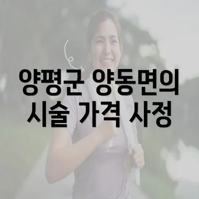 양평군 양동면의 시술 가격 사정