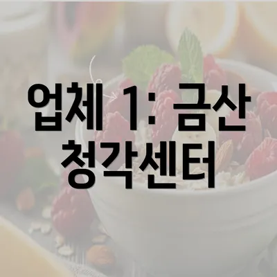 업체 1: 금산 청각센터