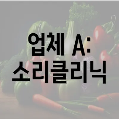 업체 A: 소리클리닉