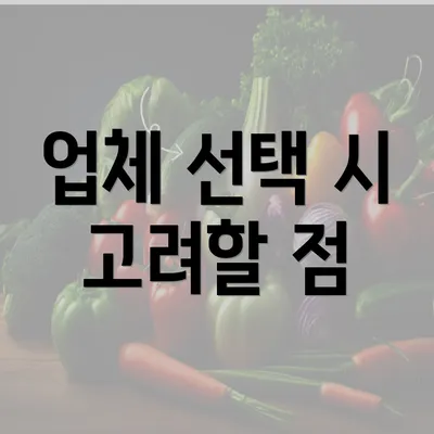 업체 선택 시 고려할 점