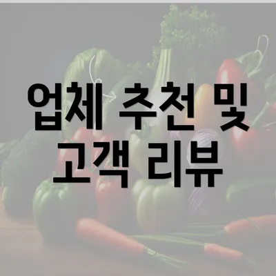 업체 추천 및 고객 리뷰