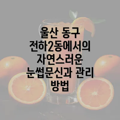 울산 동구 전하2동에서의 자연스러운 눈썹문신과 관리 방법