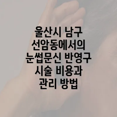 울산시 남구 선암동에서의 눈썹문신 반영구 시술 비용과 관리 방법