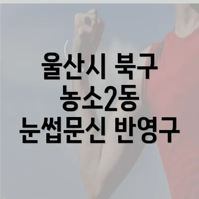 울산시 북구 농소2동 눈썹문신 반영구