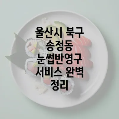 울산시 북구 송정동 눈썹반영구 서비스 완벽 정리