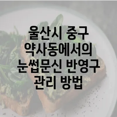 울산시 중구 약사동에서의 눈썹문신 반영구 관리 방법