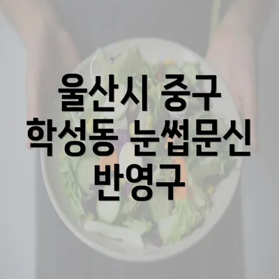 울산시 중구 학성동 눈썹문신 반영구