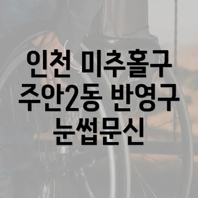 인천 미추홀구 주안2동 반영구 눈썹문신