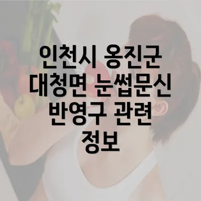 인천시 옹진군 대청면 눈썹문신 반영구 관련 정보