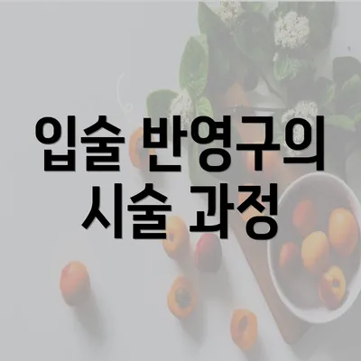 입술 반영구의 시술 과정