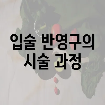 입술 반영구의 시술 과정