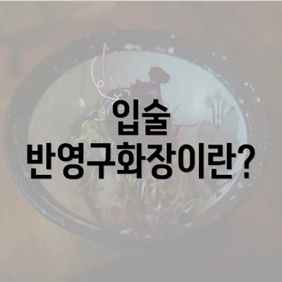 입술 반영구화장이란?