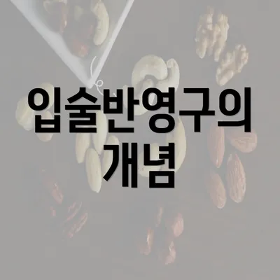 입술반영구의 개념