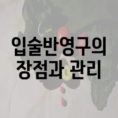 입술반영구의 장점과 관리