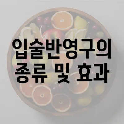 입술반영구의 종류 및 효과