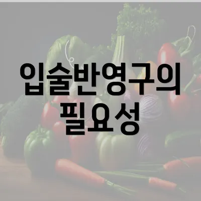 입술반영구의 필요성