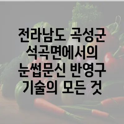 전라남도 곡성군 석곡면에서의 눈썹문신 반영구 기술의 모든 것