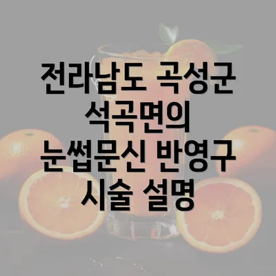 전라남도 곡성군 석곡면의 눈썹문신 반영구 시술 설명