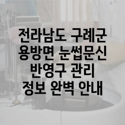 전라남도 구례군 용방면 눈썹문신 반영구 관리 정보 완벽 안내