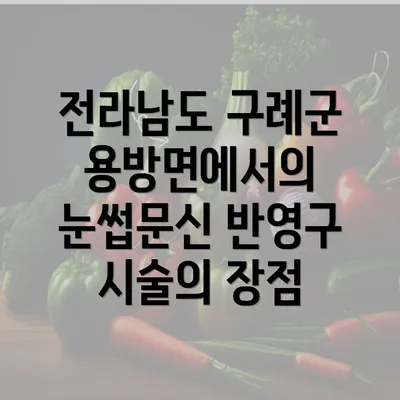 전라남도 구례군 용방면에서의 눈썹문신 반영구 시술의 장점