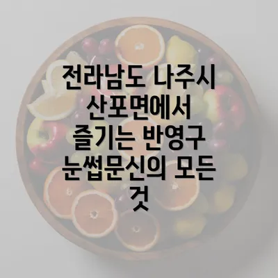 전라남도 나주시 산포면에서 즐기는 반영구 눈썹문신의 모든 것