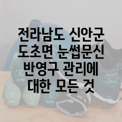 전라남도 신안군 도초면 눈썹문신 반영구 관리에 대한 모든 것