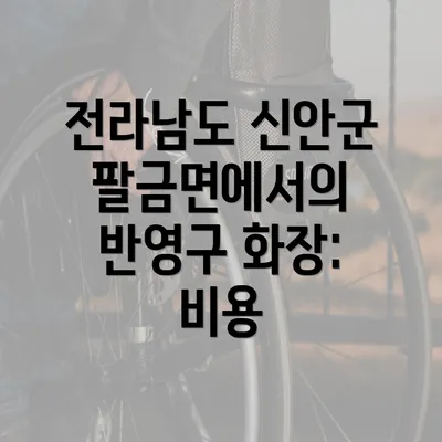 전라남도 신안군 팔금면에서의 반영구 화장: 비용