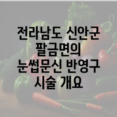 전라남도 신안군 팔금면의 눈썹문신 반영구 시술 개요