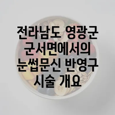 전라남도 영광군 군서면에서의 눈썹문신 반영구 시술의 모든 것