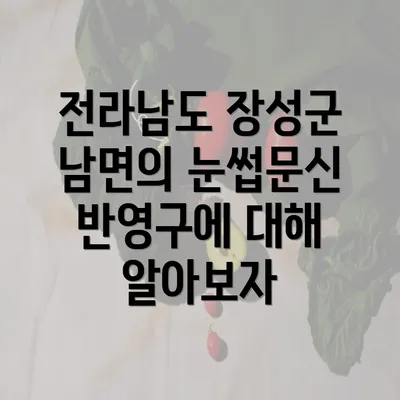 전라남도 장성군 남면의 눈썹문신 반영구에 대해 알아보자