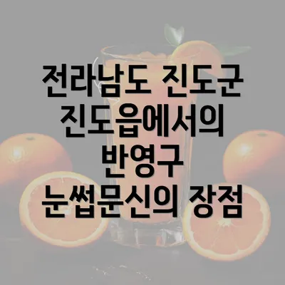 전라남도 진도군 진도읍에서의 반영구 눈썹문신의 장점