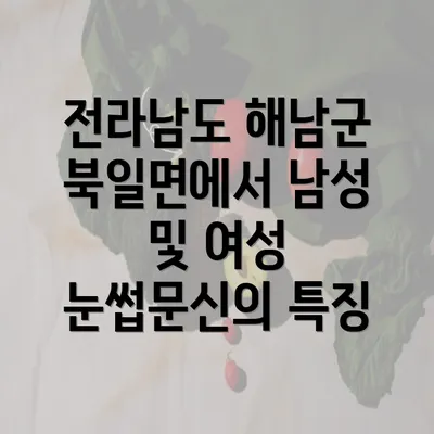 전라남도 해남군 북일면에서 남성 및 여성 눈썹문신의 특징